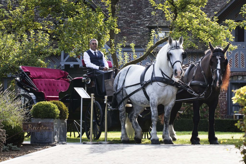 carrozza trainata da cavalli a casa - equitazione a Honfleur